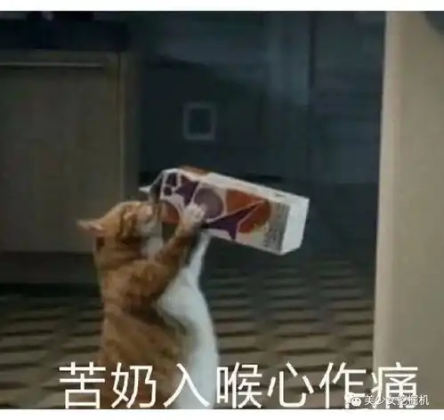 吴世勋和朴灿烈直播间狭路相逢,关滤镜就是诈骗组合啊