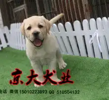 黄页88高清图片