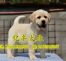 黄页88高清图片