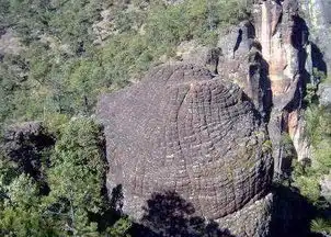 丽江老君山纯玩一日游商务车独立小团特色午餐长江第一湾乘索道观丹霞地貌黎明千龟山近距离接触