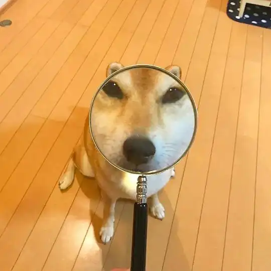桔的相册头像相册