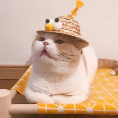 qq情侣头像两张分开猫咪