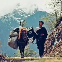 一张照片,就是一个故事