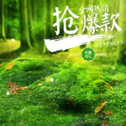 丛林背景图片下载免费高清丛林背景设计素材图精灵
