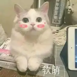 青春商院夏天的风和期末的你