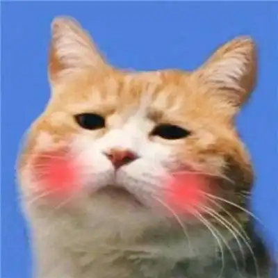 猫卡通头像情侣头像两张