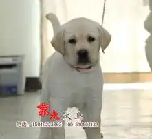黄页88高清图片