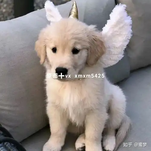 抖音热门情侣头像其实我心动了,但是干饭要紧,我就没说