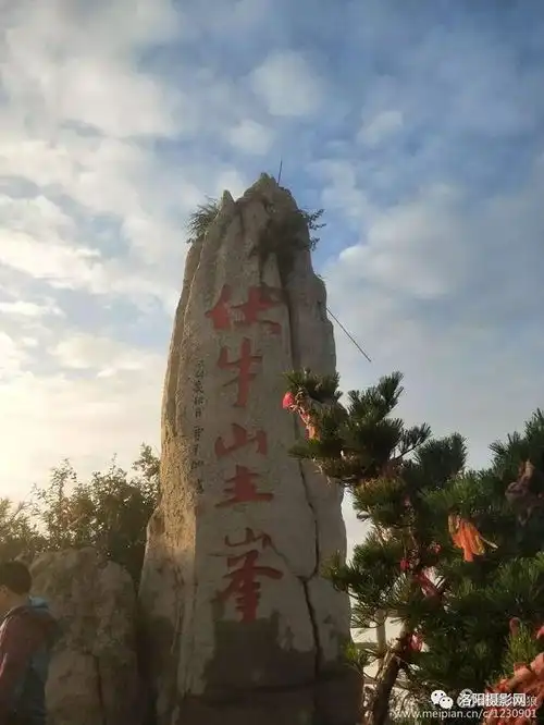 登伏牛山主峰,赏洛阳老君山云海
