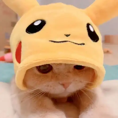 猫卡通头像情侣头像闺蜜