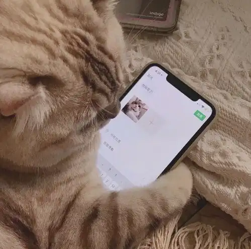 猫卡通头像情侣头像情头