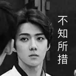 exo表情包吴世勋sehun