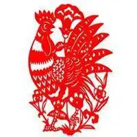 适合属鸡男孩微信头像微信头像图片大全