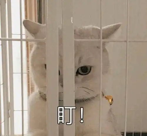 这些五四知识你都知道吗