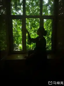 回到母校,遇见美好致敬东北林业大学的盛夏