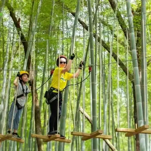情侣头像森林穿越丛林
