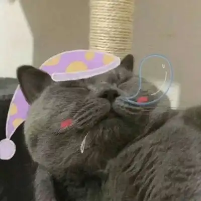 情侣猫咪头像超萌情头
