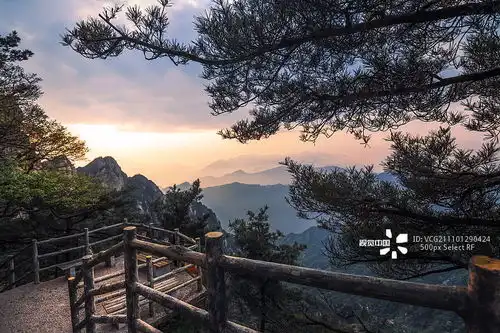 摄影图片