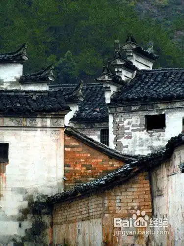 武义旅游攻略