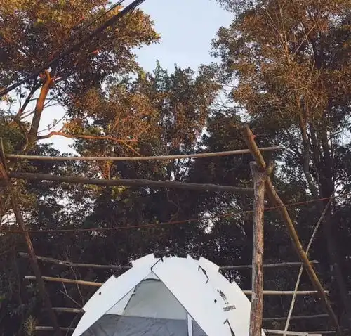 在广东,这条地铁就像时光机,每次停下都是一处世外桃源