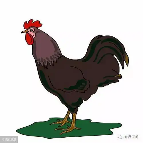 一位老僧的劝诫69年属鸡人名字里带什么字宿命最吉利