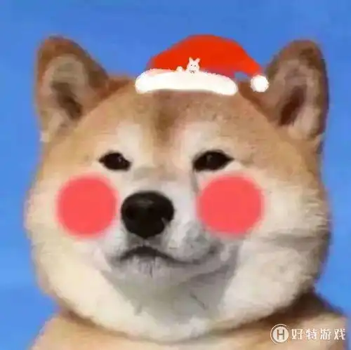 抖音圣诞宠物头像