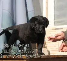 黄页88高清图片