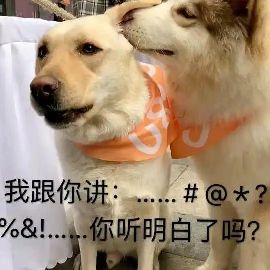 抖音热门情侣头像宠物表