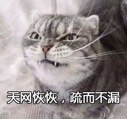 抖音很火的猫咪头像