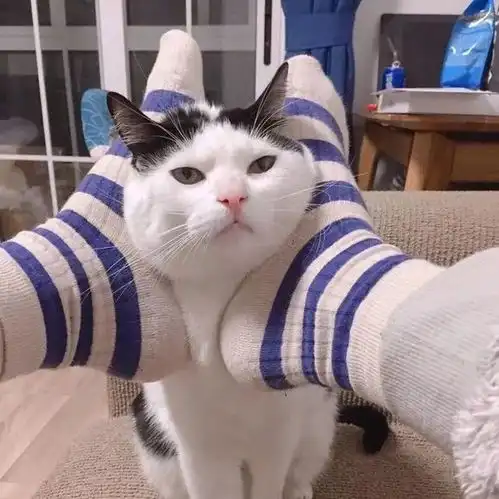 猫卡通头像情侣头像情侣