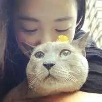 抱宠物情侣头像微信头像图片大全