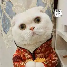 抖音蚊子获400万关注,只因死的太没面子,网友看后都笑了