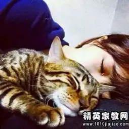 山东2013年财经法规与会计职业道德押密卷第二套
