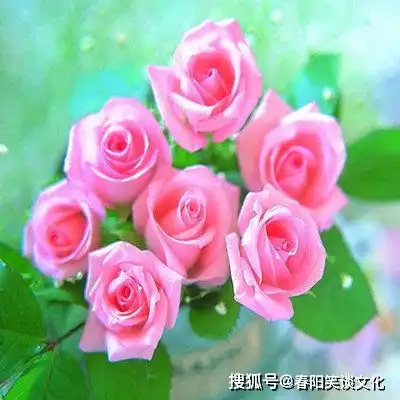 让男人百看不厌的三肖女,天生凤凰命,漂亮大方有气质