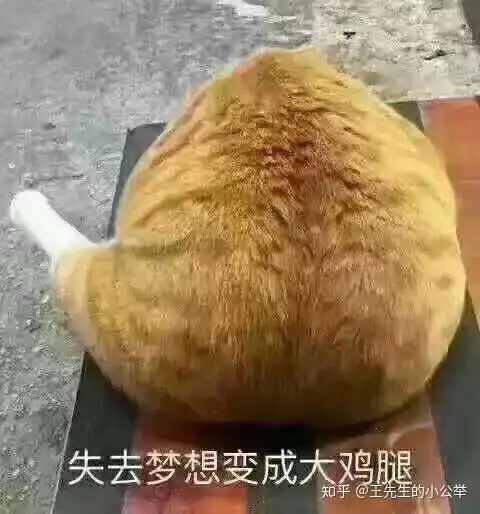 山东2020高考英语听力成绩公布了,你考了多少分符合你的预期吗