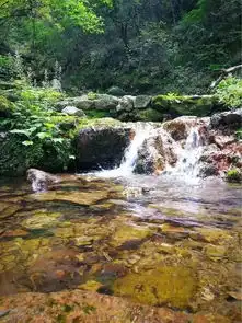 6月29号第七期栾川老君山养子沟泼水狂欢节超嗨的2日游每位239元特价来袭