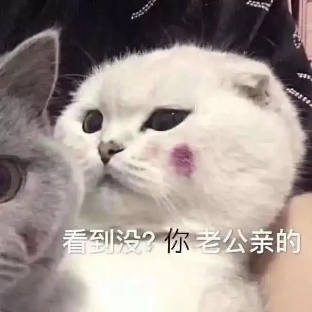 5张很黄很污的表情包,一张比一张强,拿去疯狂暗示