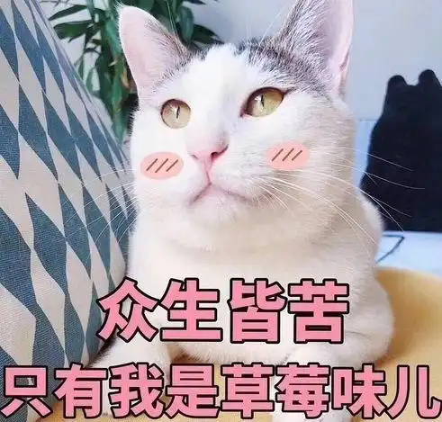 做个狠人2为什么你总是活得那么累
