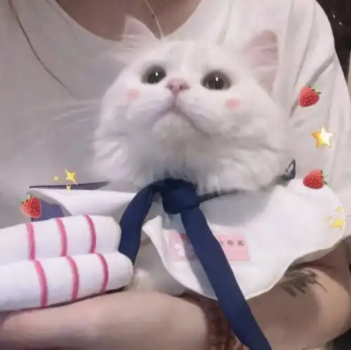 优质情头你是我平淡生活里的来日方长