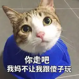 如何看待罗永浩说苹果早就不是最好的手机了