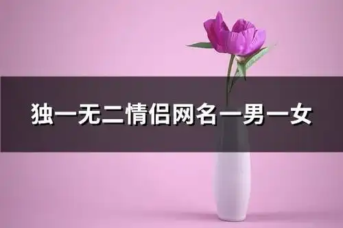 独一无二情侣网名一男一女精选149个