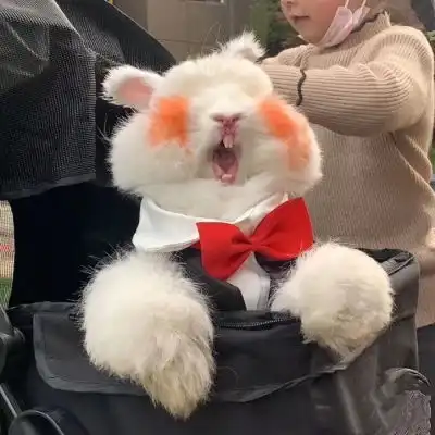 独一无二的情侣头像一对