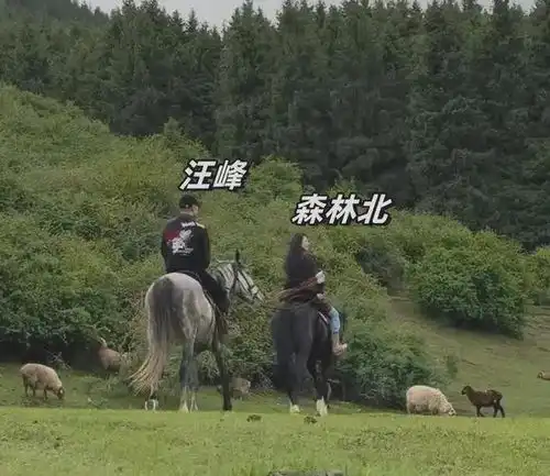 情侣头像森林森林