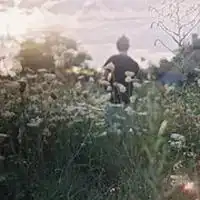 微信背影莲花图片微信头像图片大全