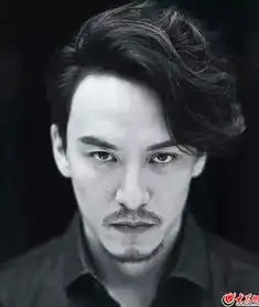 高爽杨烁吴秀波盘点蓄胡子帅气满分的男明星