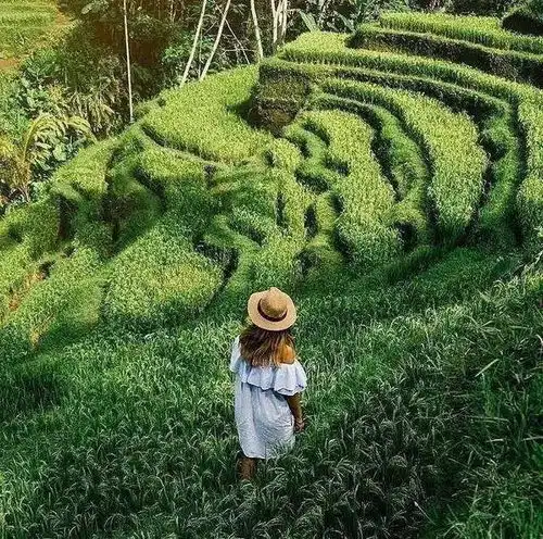 欠自己的旅行,什么时候能还上2018下半年旅行清单你pick哪一项