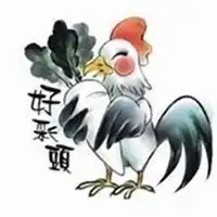 69年属鸡女微信头像用啥
