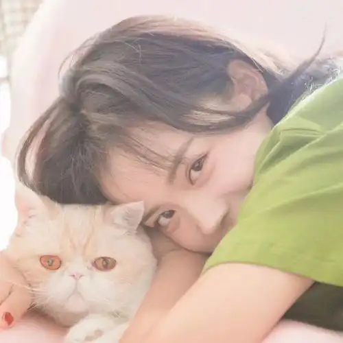 抖音最火的情侣头像猫