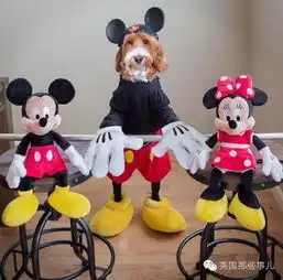 一只拉布拉多贵宾混....这货真还真给他们玩成了毛绒玩具...