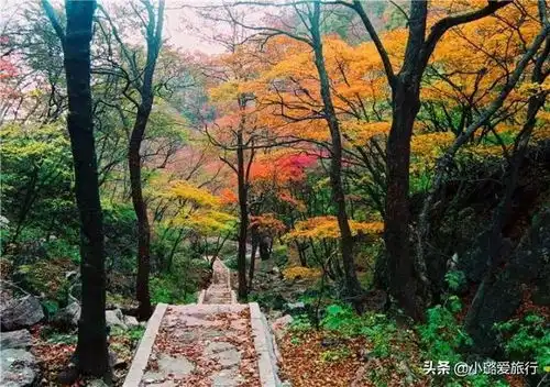 老君山情侣头像追梦谷
